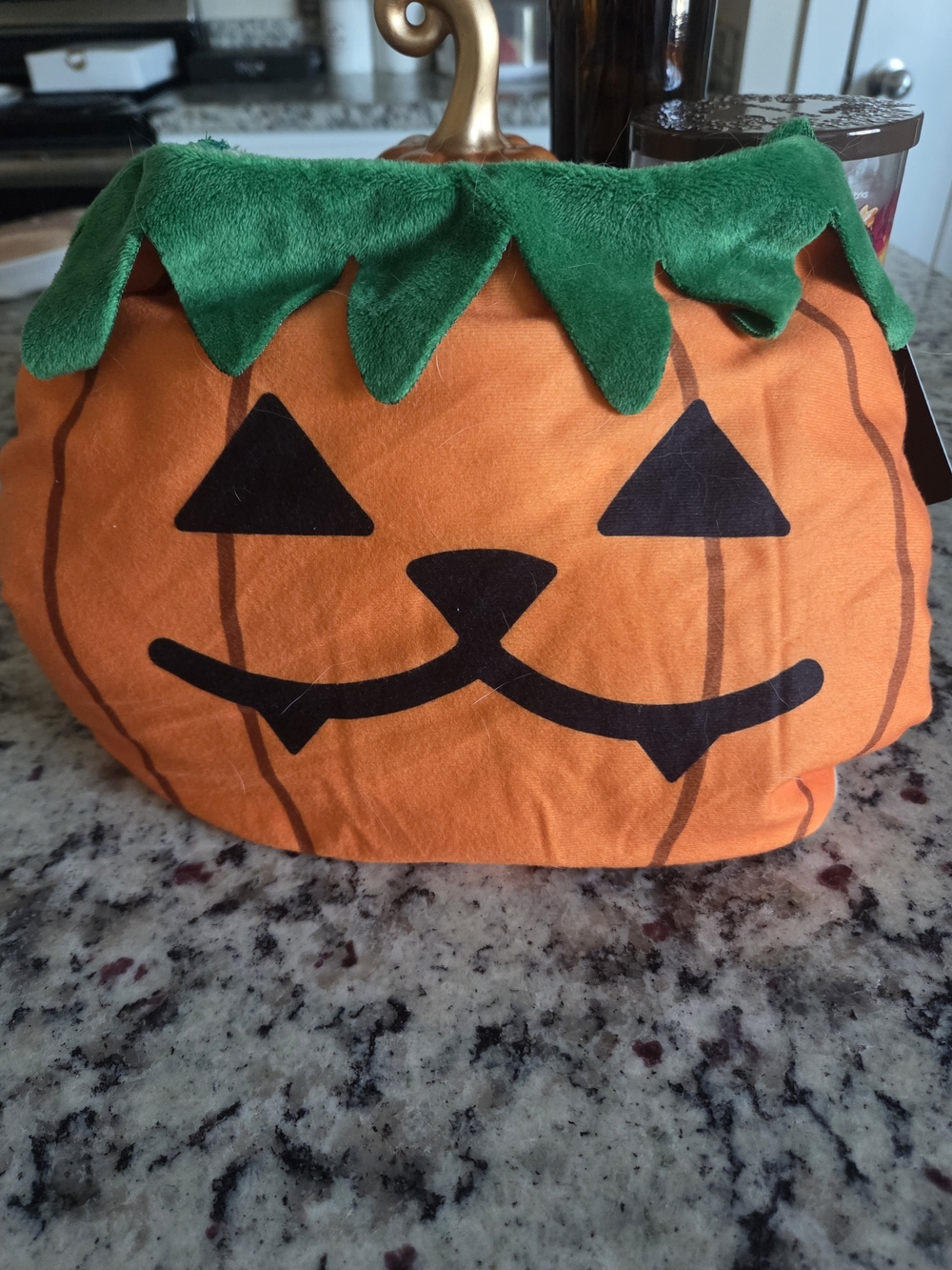 New Pet Pumpkin Costume